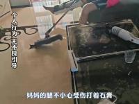 星空体育官方入口-包含小腿伤病情况跟第六场时差不多不在乎外界是否尊重我们的词条